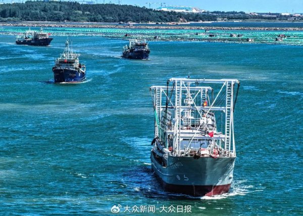 专业在线配资炒股查询 全国半数的金枪鱼、四成的鱿鱼……这些远洋鲜味儿从这里上岸